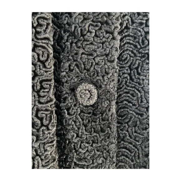 Vintage Astrakin Styled by Lepshire Paris Woman’s Persian Lamb w/Mink Co… - Picture 4 of 6